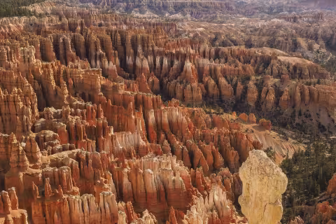 Exploring Southern Utah's Mighty 5® National Parks