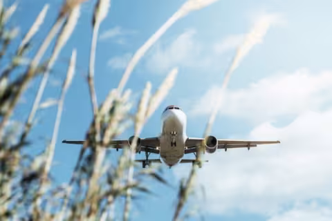 Compelling Title: New Research Reveals Key Strategies for Effective Sustainable Travel Messaging