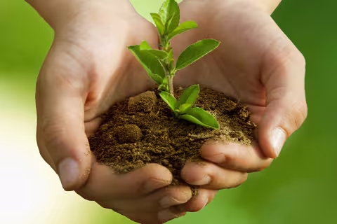 What Gardeners Should Know Before Buying Potting Soil: A Consumer Guide to Quality Testing