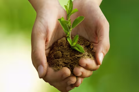 New Guide Helps Gardeners Understand Quality Standards for Peat-Free Potting Soils