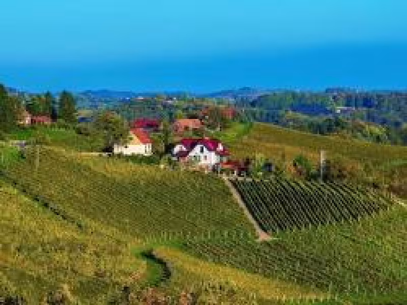 Austrian Wine Shines at ProWein 2024