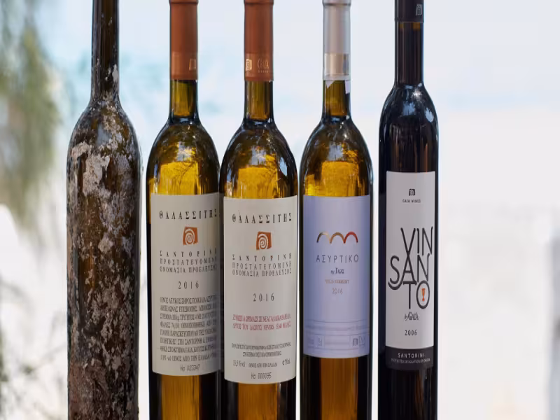 Greek Wines Offer Fresh Flavors and Ancient Heritage at ProWein 2024