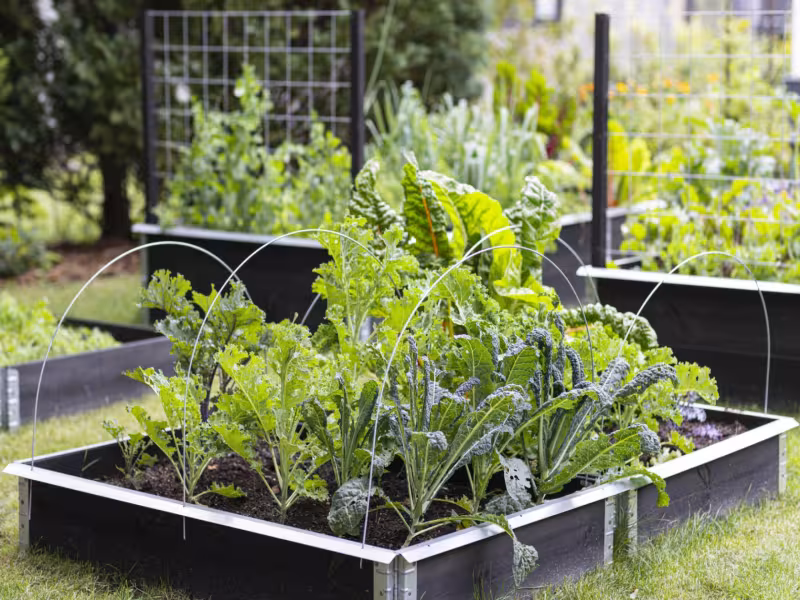 Upyard Unveils Revolutionary Modular Raised Garden Beds and Eco-Conscious Accessories at spoga+gafa 2024