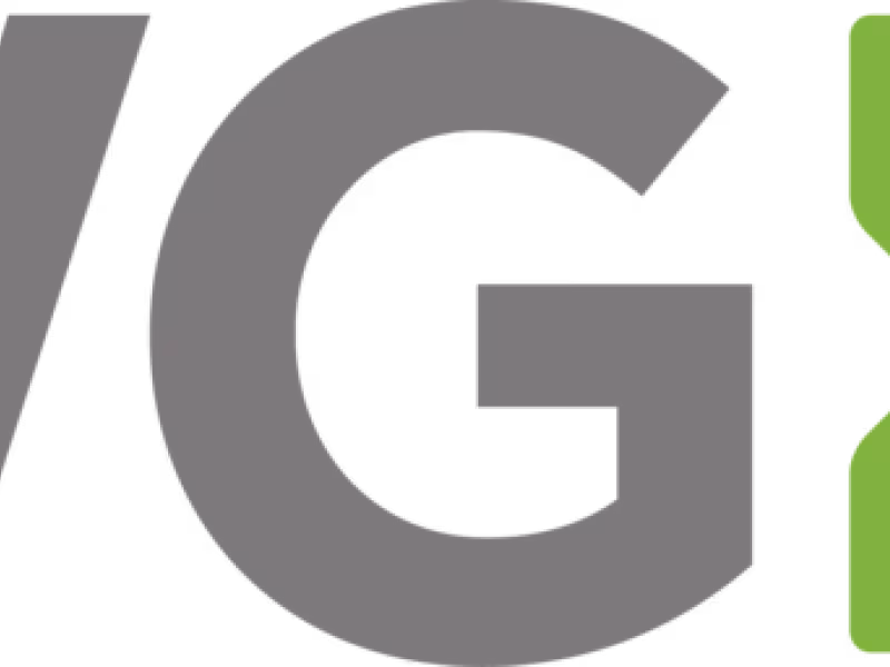 IVG Backs Berlin's "BaumEntscheid" Initiative, Advocating for Urban Climate Resilience and Green Infrastructure Expansion