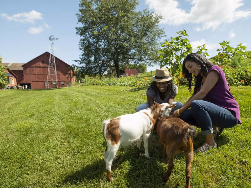 Ohio Road Trip: Rock ‘n Roll, Roller Coasters, City Culture and Charm