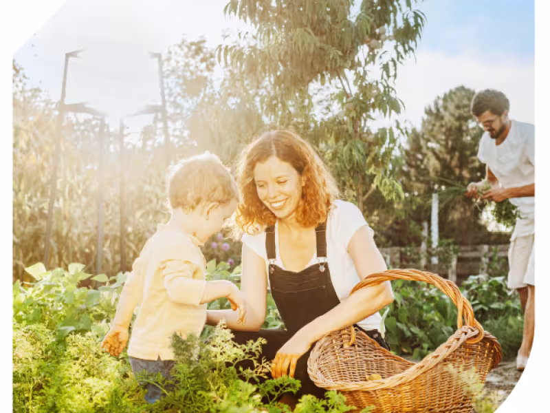 IVG Annual Report Highlights the Unifying Power of Gardens