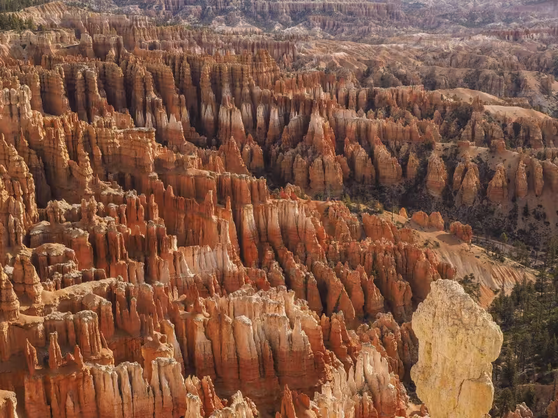 Exploring Southern Utah's Mighty 5® National Parks