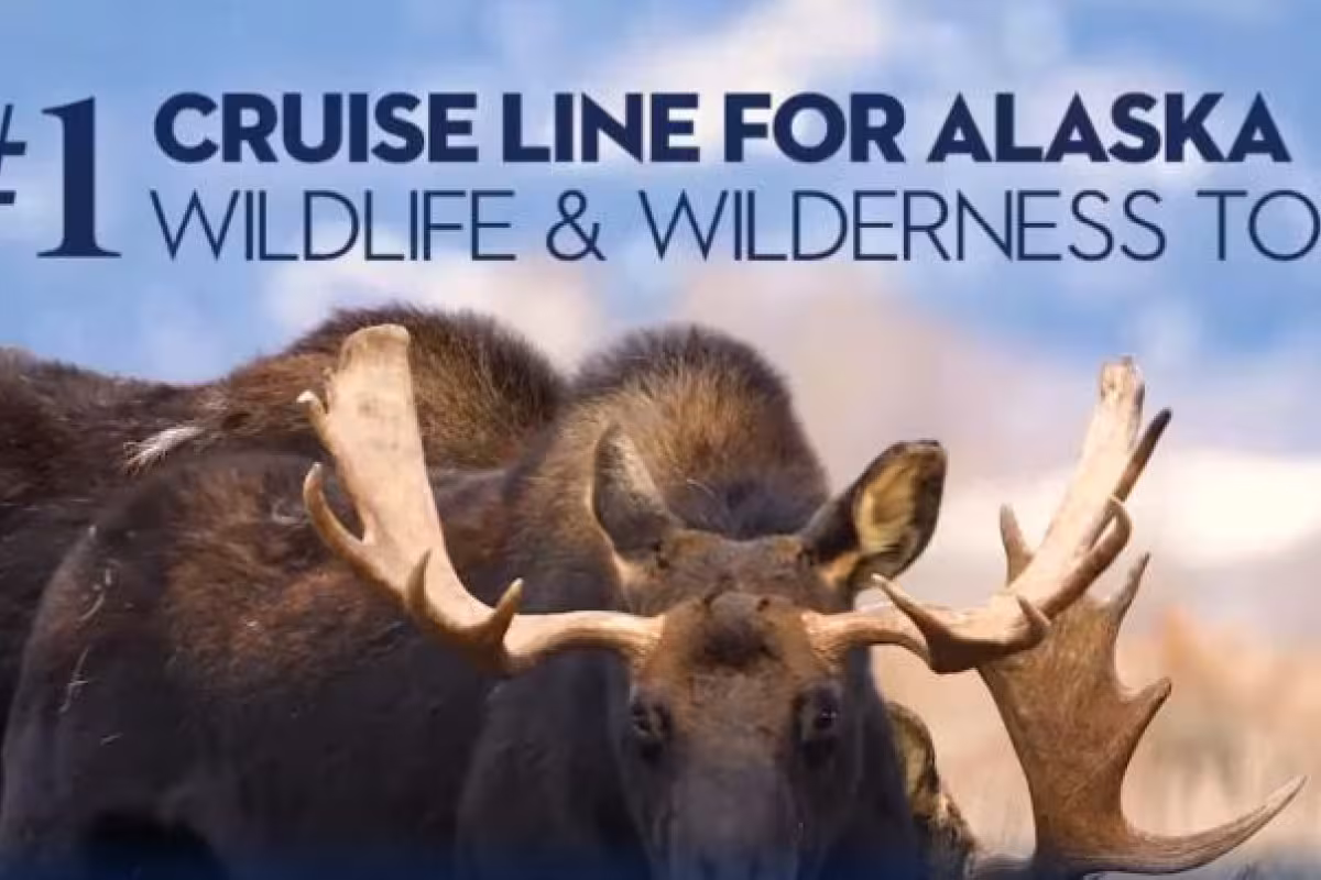 Attractive Benefits for Cruise Enthusiasts: Holland America Line's "HAVE IT ALL" Offer and Additional Perks with "Have It All+