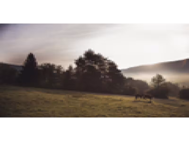 The small Swiss chocolate factory that makes great chocolates