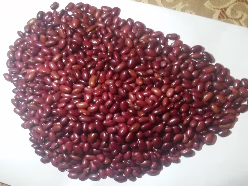ETHIOPIAN AGRO COMMODITIES SUPPLIER