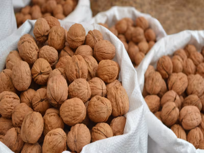 DURABLE Takes Another Important Step Towards a Greener Office with New Recycled Plastic Sleeves and Folders DURABLE Takes Another Important Step Towards a Greener Office with New Recycled Plastic Sleeves and Folders