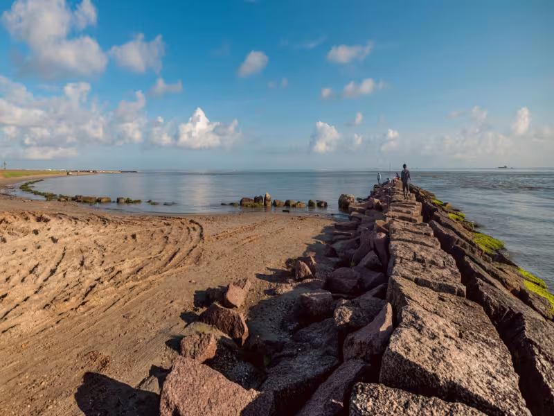 Fresh Air and Natural Delights: Road Trip Around Houston, Texas