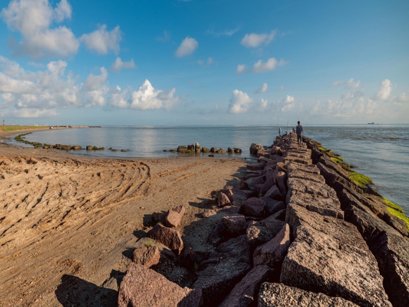 Fresh Air and Natural Delights: Road Trip Around Houston, Texas