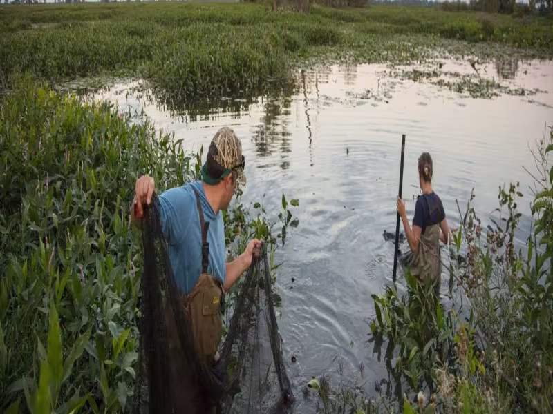 Kia America and The Nature Conservancy Launch $3M Freshwater Conservation Campaign