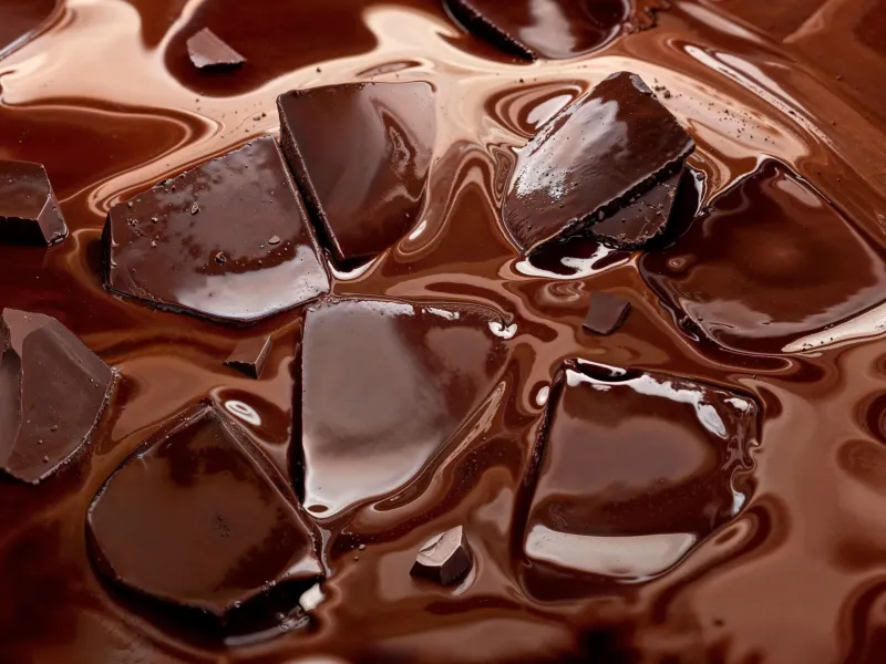 Barry Callebaut Navigates High Cocoa Prices, Reaffirms Commitment to Growth and Sustainability