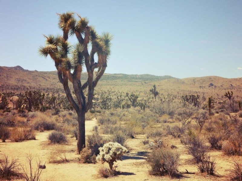 The 10 Worst Tourists of 2024