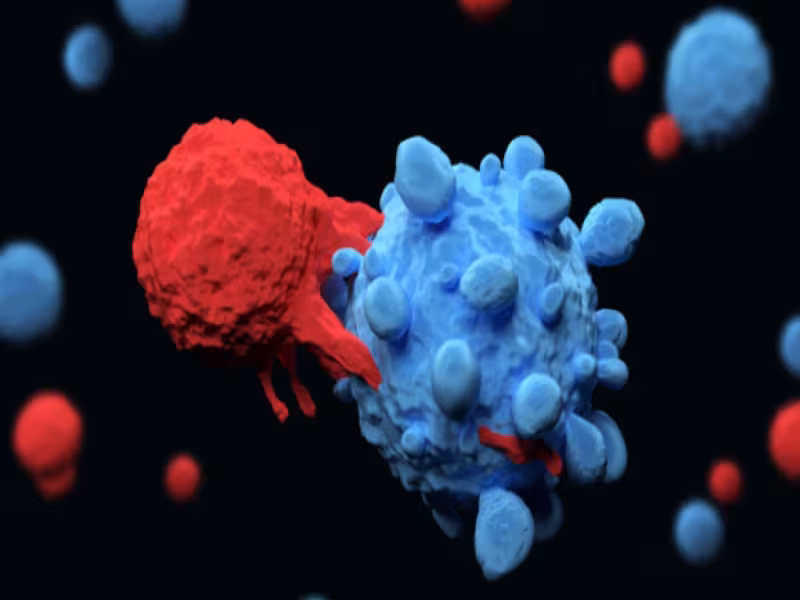 Roche Showcases Promising Lymphoma Advancements at ASH 2024