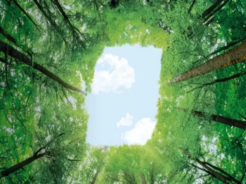 BKT Fortifies Sustainable Practices with Membership in Global Platform for Sustainable Natural Rubber