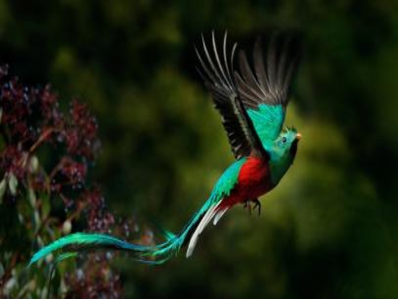 UN Tourism's Committee on Tourism and Sustainability Committee Meets to Spotlight Responsible, Nature-Positive Growth for Sector