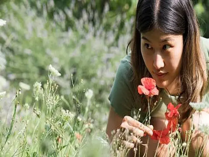 Weleda’s Commitment to Sustainability: Ethical Ratanhia Sourcing from the Peruvian Andes