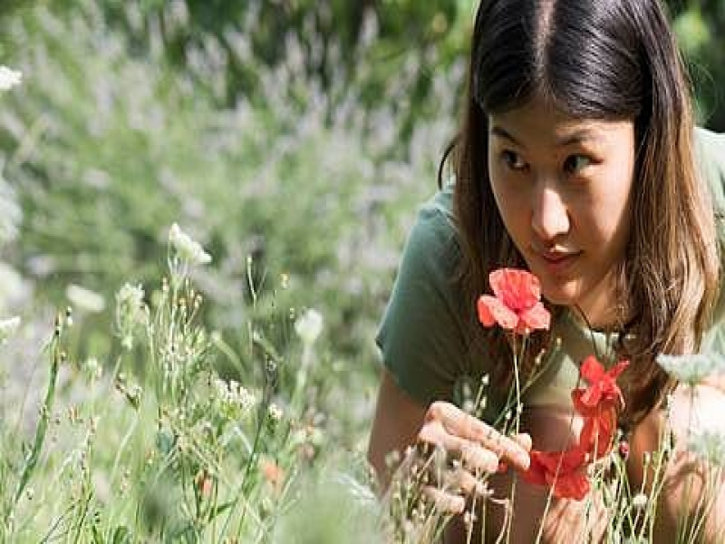 Weleda’s Commitment to Sustainability: Ethical Ratanhia Sourcing from the Peruvian Andes