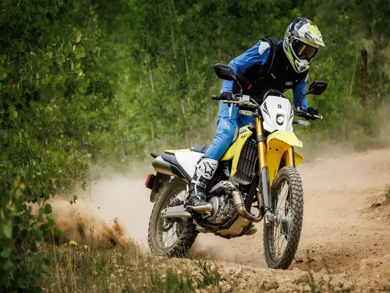 Suzuki Germany Targets 5% Motorcycle Market Share With 21 New Models and Price Cuts