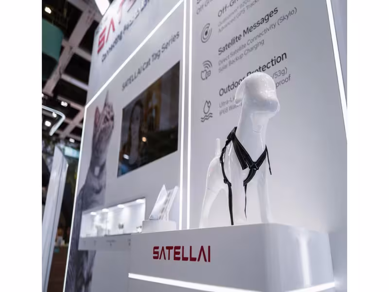 SATELLAI Debuts AI Pet Tracker That Explains Your Cat's Mood