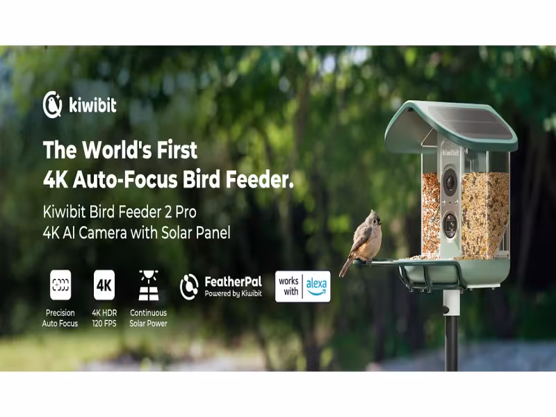 Kiwibit's New Smart Feeder Shoots 4K Video of Your Backyard Birds
