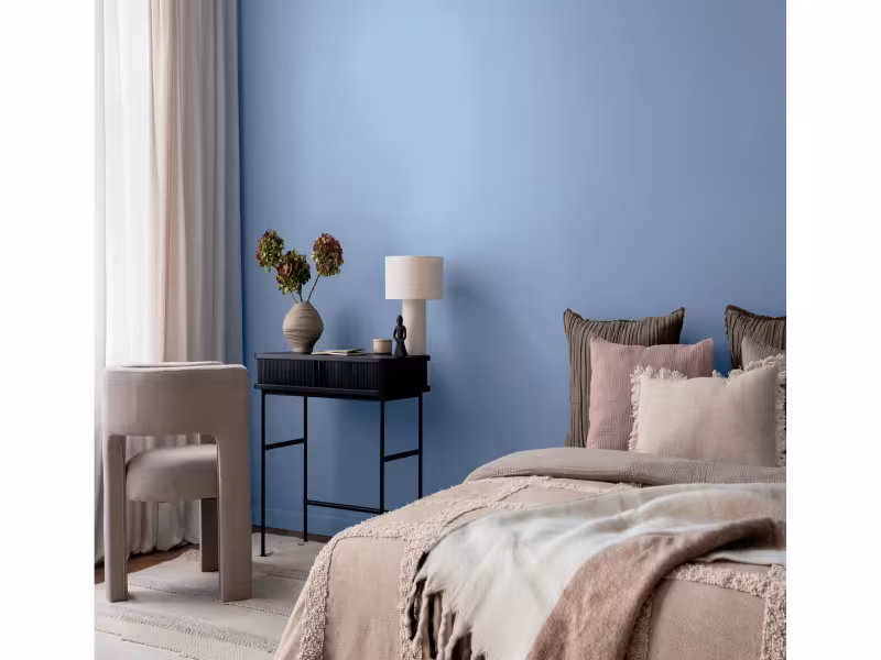 Ace Hardware Names 'Vantage Point' Blue as 2027 Color of the Year
