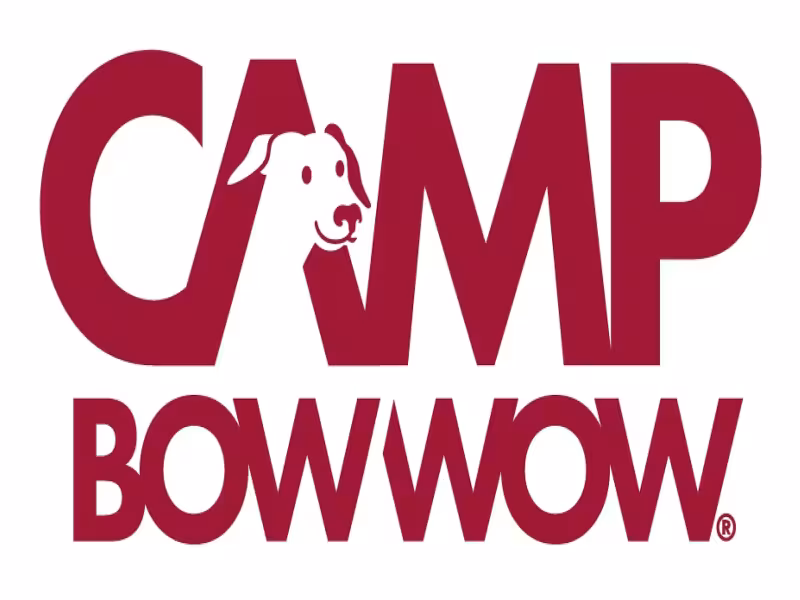 Camp Bow Wow's Live Webcams Let Owners Watch Dogs During Overnight Boarding