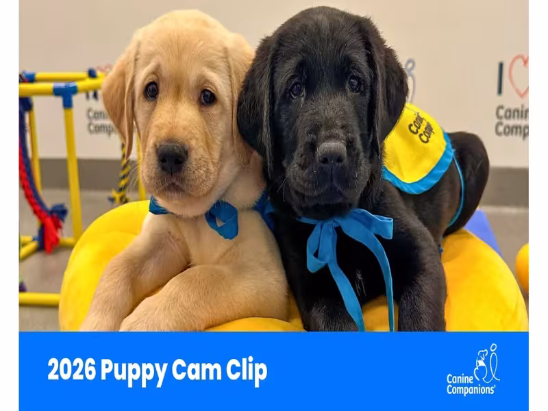 Canine Companions Launches Puppy Cam with Snoopy Cameo for Service Dog Month