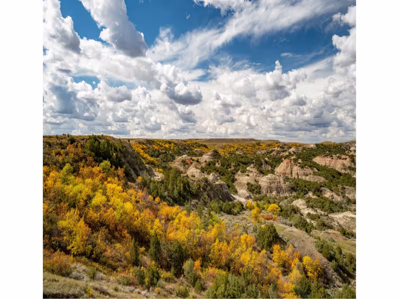 North Dakota's Fall Foliage Season Brings Scenic Drives and Pumpkin Patches