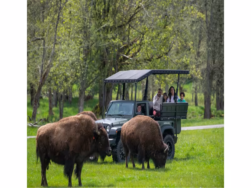 Tacoma-Pierce County Unveils Kid-First Fall Road Trip Itinerary