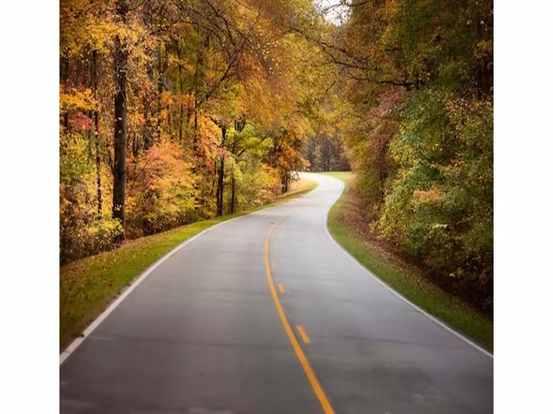 Fall Festivals, Banana Pudding and Foliage Fill Nashville's Big Back Yard
