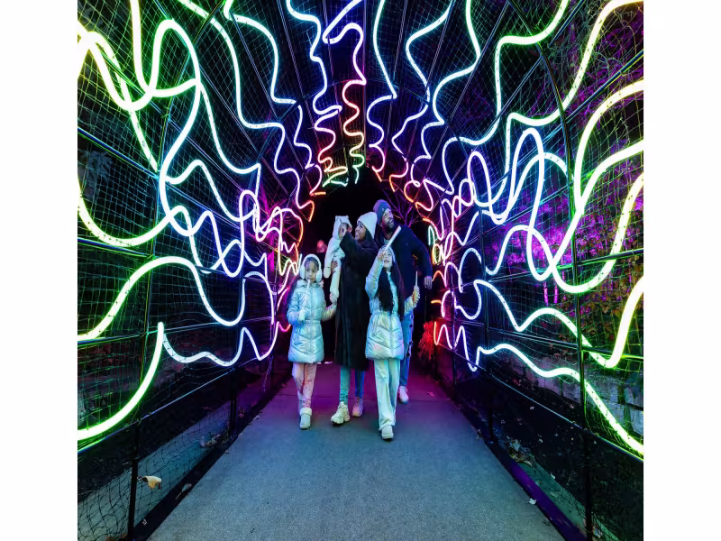 ENLIGHTEN Holiday Light Show Returns to Meijer Gardens Nov. 23 With New Finale