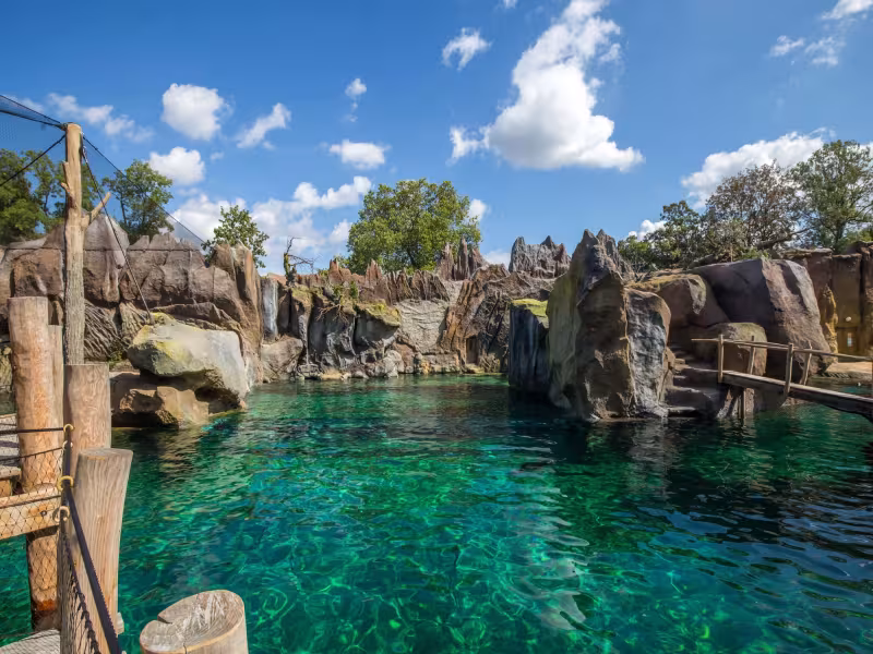 Leipzig Zoo Opens 'Feuerland': A 5-Million-Liter Pacific Coast Habitat