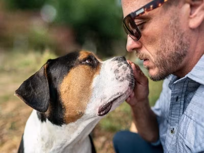 Dog Ownership Costs More Than Expected, Survey Finds