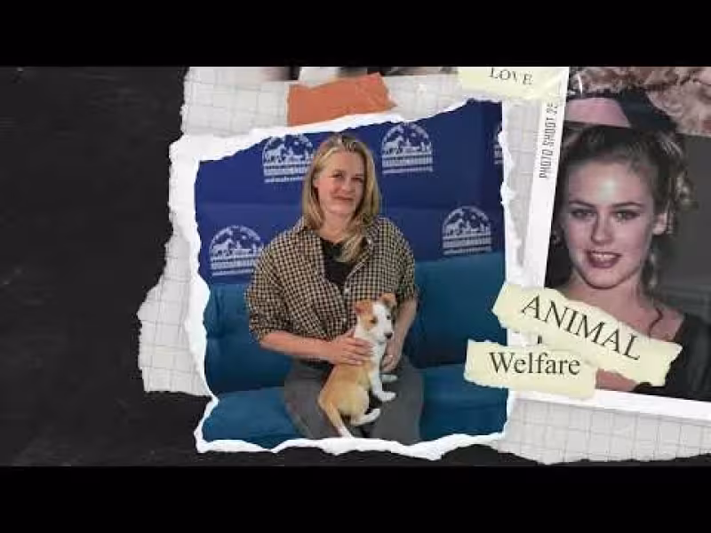 Alicia Silverstone Joins Global Push to Find Homes for Shelter Pets