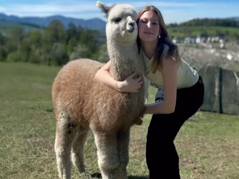 Alpaca Wool Insoles: A Natural Alternative to Synthetics