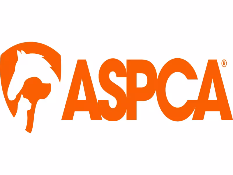 ASPCA Warns: Hydrogel in Migraine Caps, Eye Masks Poisoning Dogs