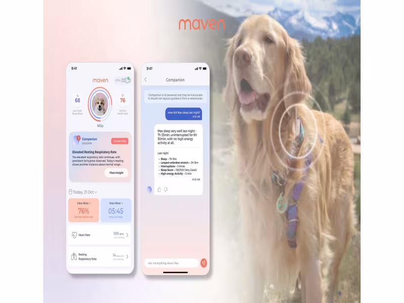 Maven Pet's Companion AI Flags Dog Health Shifts Early