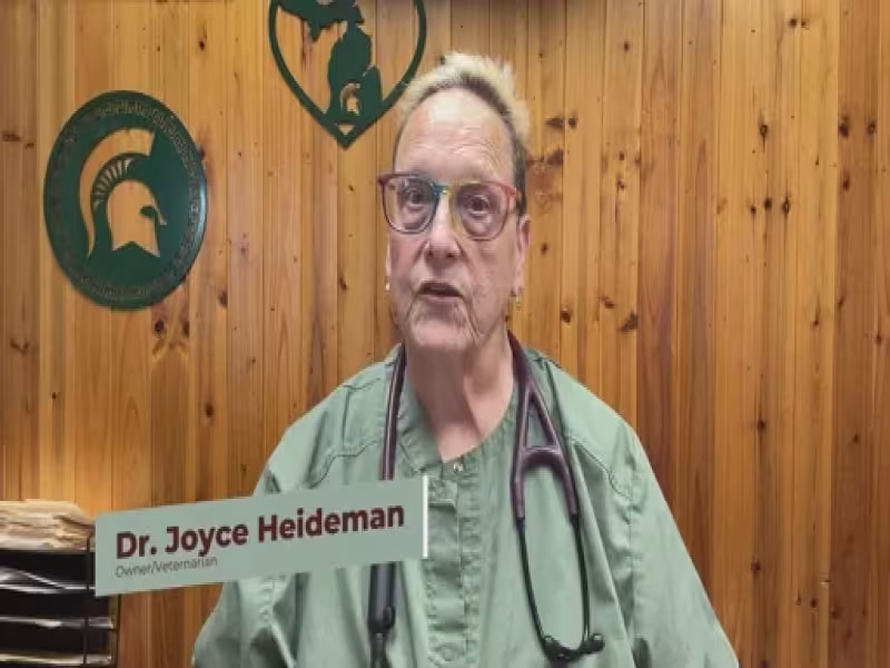 Vet Shares Simple Home Fixes to Keep Aging Dogs Comfortable