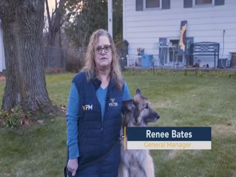 Pest Control and Pets: What Victor, NY Families Should Ask
