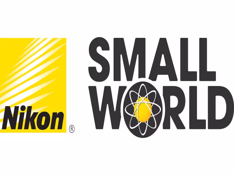 Nikon Small World 2026: Ink Droplets Frozen Inside a Printer Win