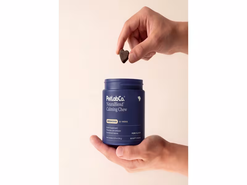 PetLabCo Launches Melatonin-Free Calming Chew for Dogs