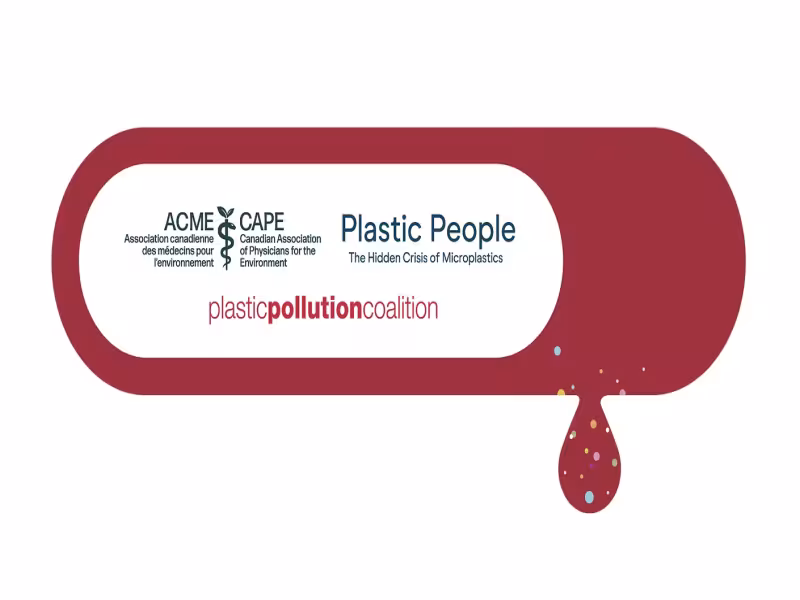Microplastics Found in the Blood of 27 of 28 People Tested