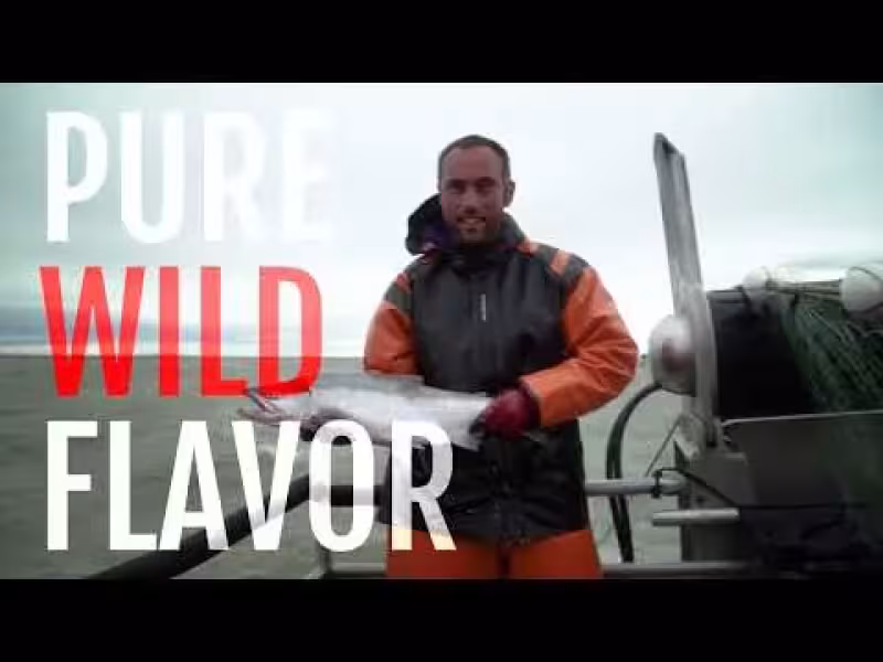 30 Million Sockeye: Bristol Bay's Record Catch Ranks as Nutrition Powerhouse
