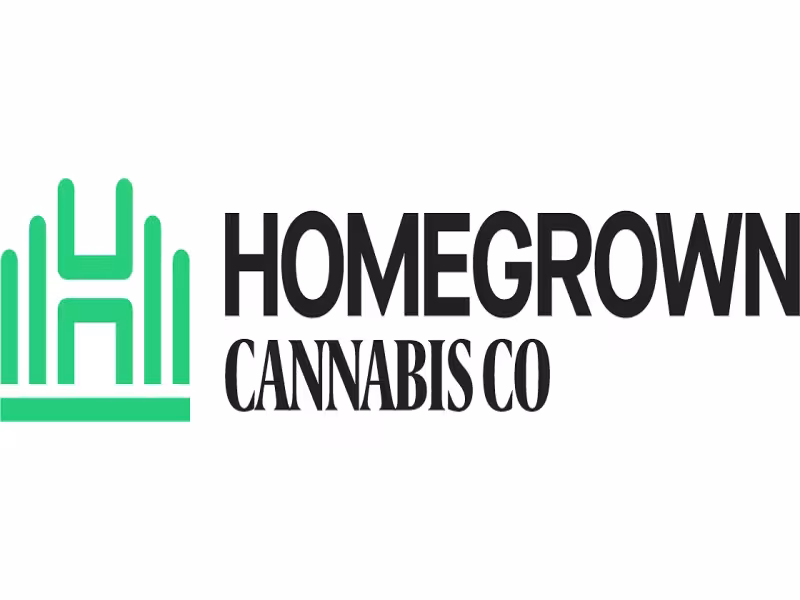 Buying Autoflower Seeds Online: What to Check First