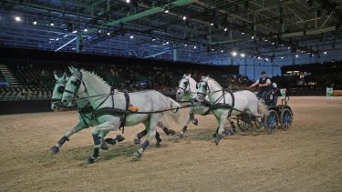 Equitana 2023 - new date for the World Equestrian Show