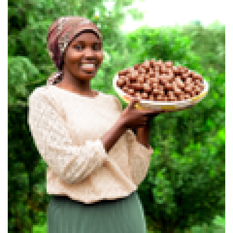 LIMBUA MACADAMIA NUTS: HARD OUTSIDE - FAIR INSIDE